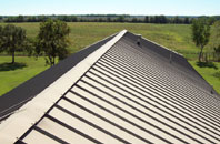 Cats Common metal roof quotes