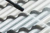 rated Cats Common roof cleaning companies